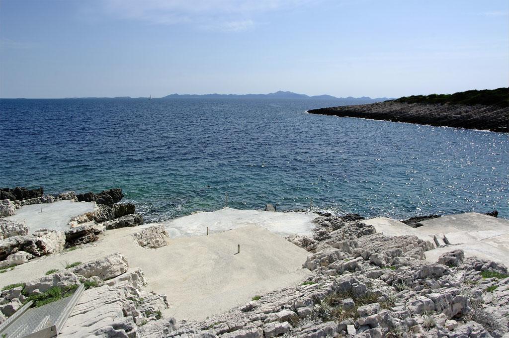 Foissner Zavalatica
