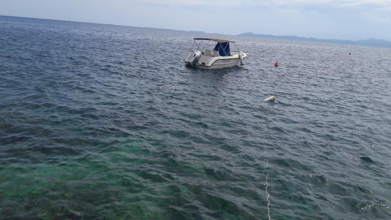 Foissner Zavalatica